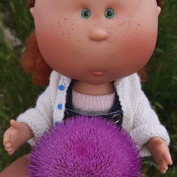 А мы нашли колючку😁