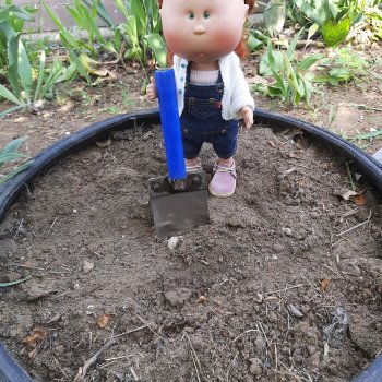 Огородный гном Маруся