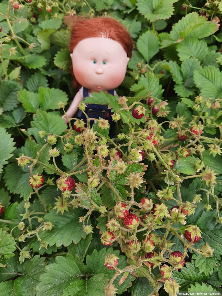 Икра красная, земляничная (фото 2)