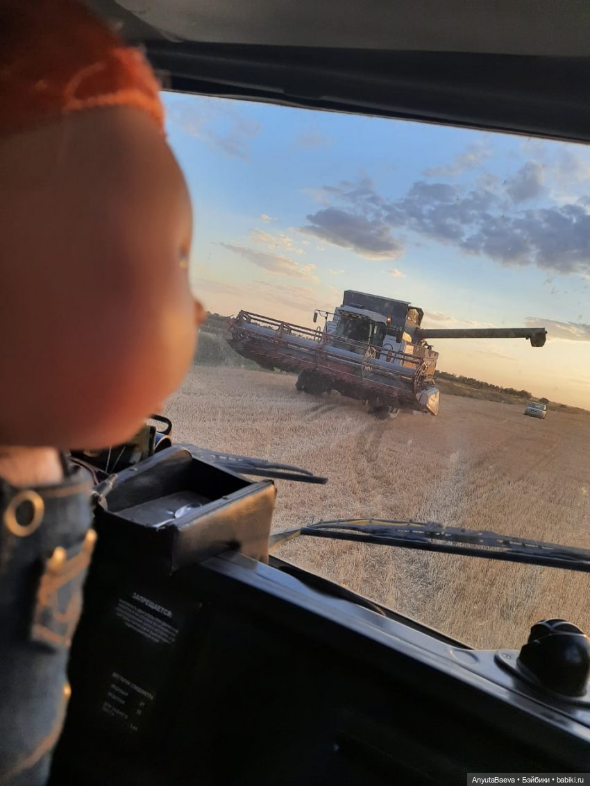 Испанская помощница в русских полях😊 (фото 4)