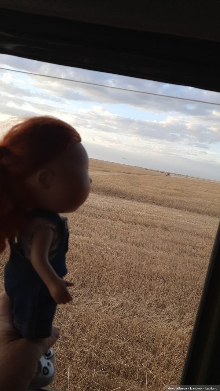 Испанская помощница в русских полях😊 (фото 3)