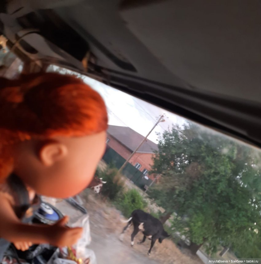 Испанская помощница в русских полях😊