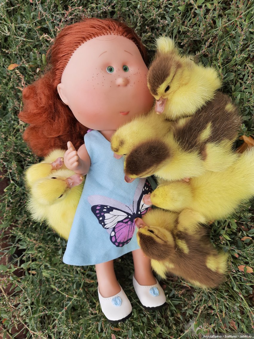 А у нас вот - приплод,озимые утята😁🙈 (фото 6)