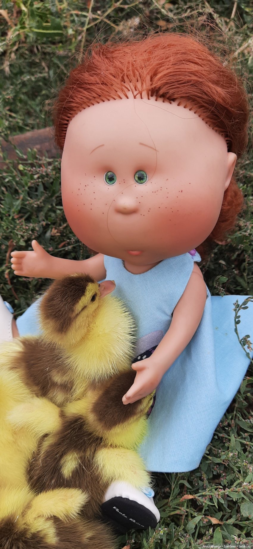 А у нас вот - приплод,озимые утята😁🙈 (фото 3)