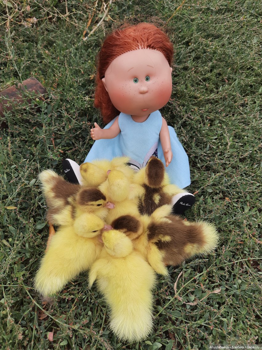 А у нас вот - приплод,озимые утята😁🙈 (фото 2)