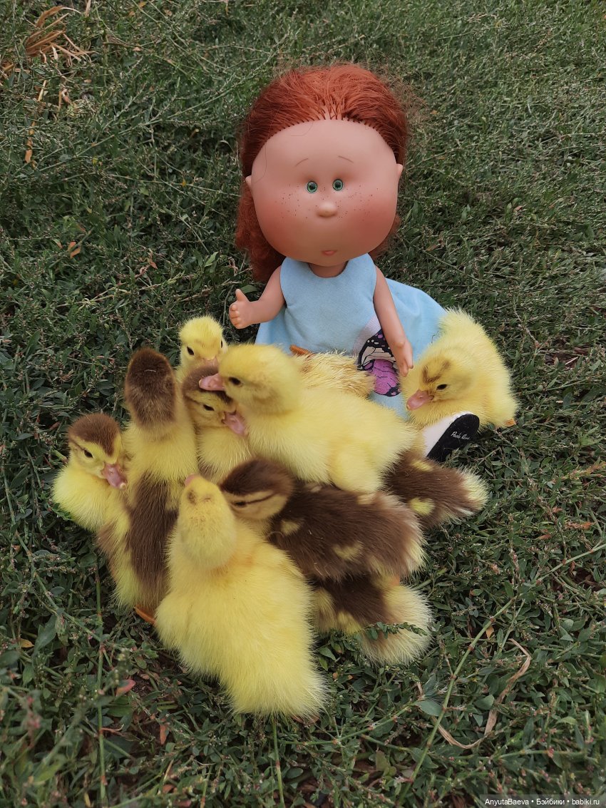 А у нас вот - приплод,озимые утята😁🙈 (фото 8)