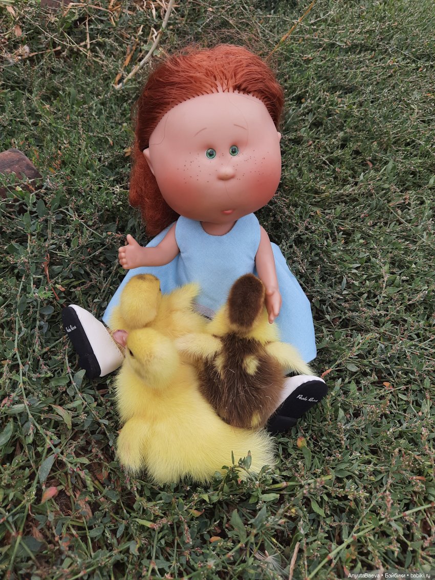 А у нас вот - приплод,озимые утята😁🙈