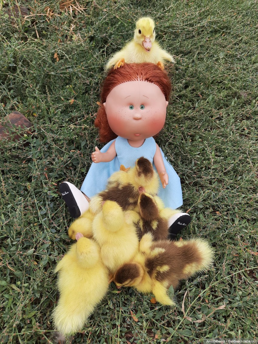 А у нас вот - приплод,озимые утята😁🙈 (фото 4)