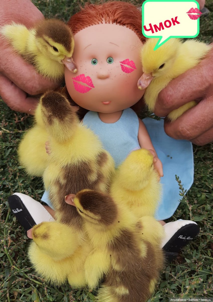 А у нас вот - приплод,озимые утята😁🙈