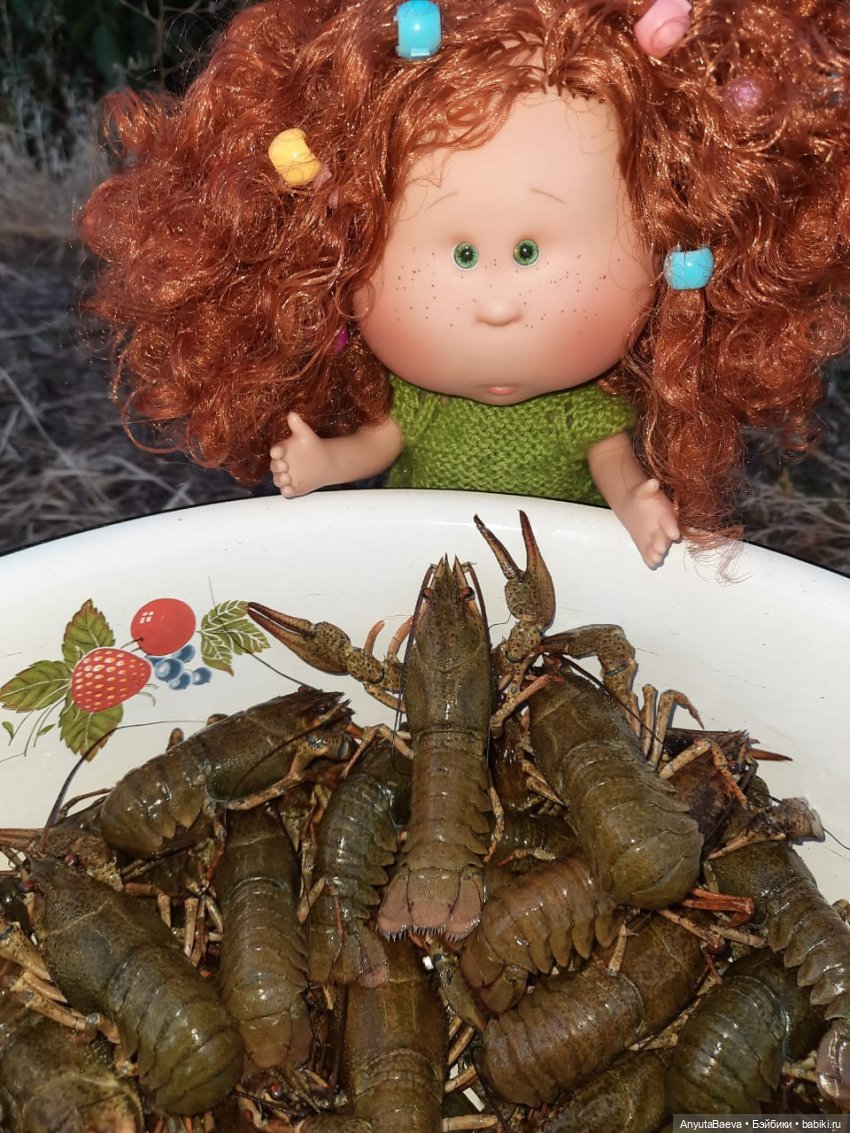 Наша укротительница — Куклы Nines d'Onil (Нинес): Миа (Mia) (фото 2)