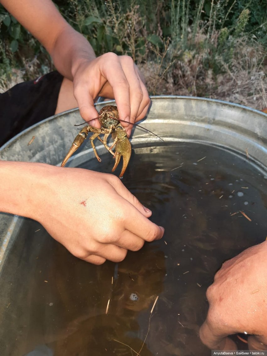 Наша укротительница — Куклы Nines d'Onil (Нинес): Миа (Mia) (фото 8)