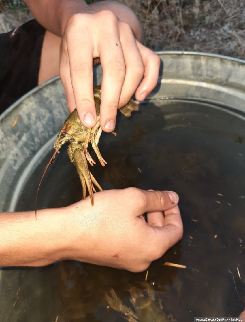 Наша укротительница — Куклы Nines d'Onil (Нинес): Миа (Mia) (фото 9)