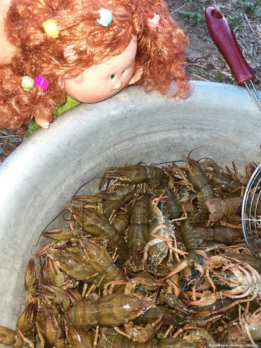 Наша укротительница — Куклы Nines d'Onil (Нинес): Миа (Mia)