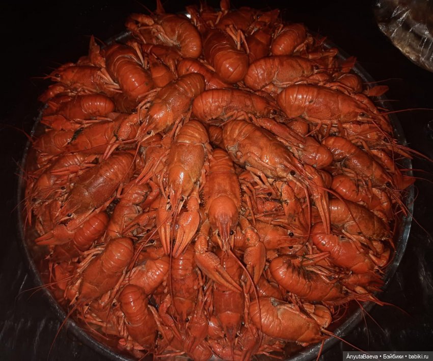 Наша укротительница — Куклы Nines d'Onil (Нинес): Миа (Mia)