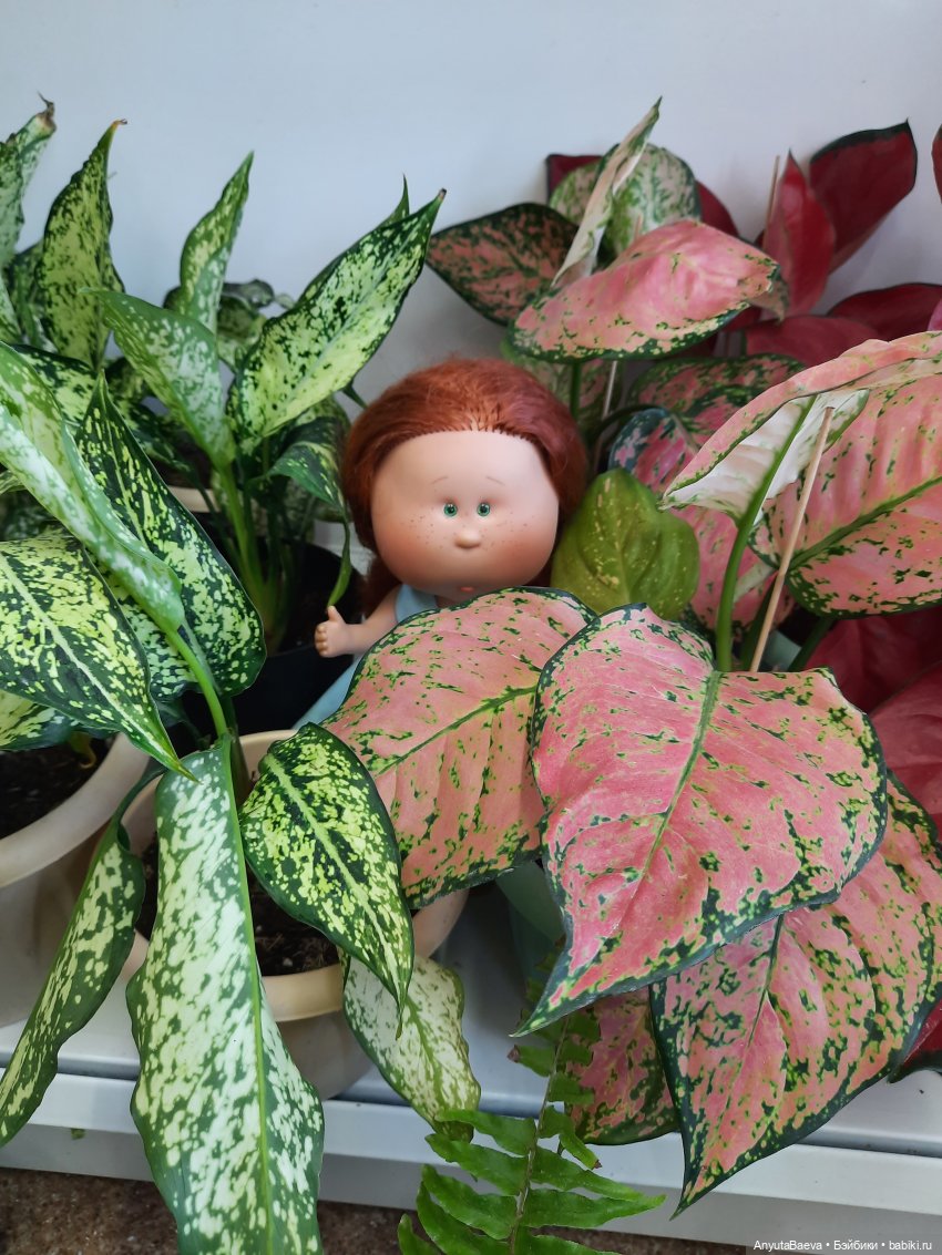 Мы ходили в магазин — Куклы Nines d'Onil (Нинес): Миа (Mia) (фото 3)