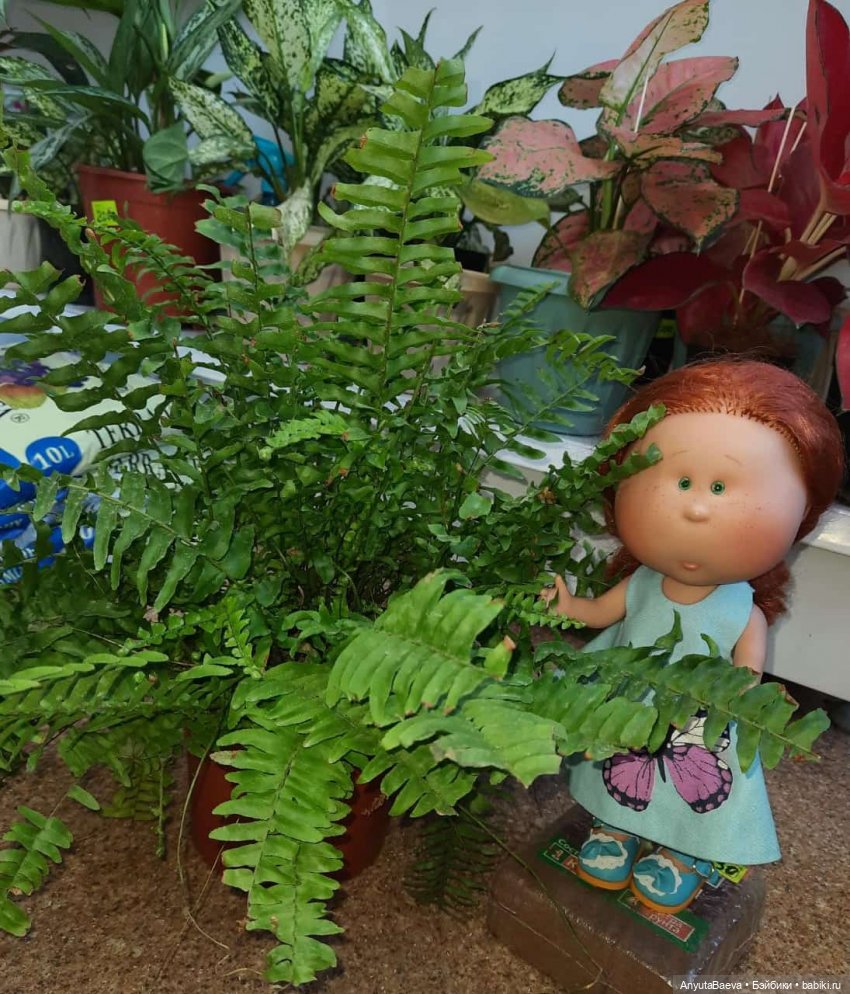 Мы ходили в магазин — Куклы Nines d'Onil (Нинес): Миа (Mia)