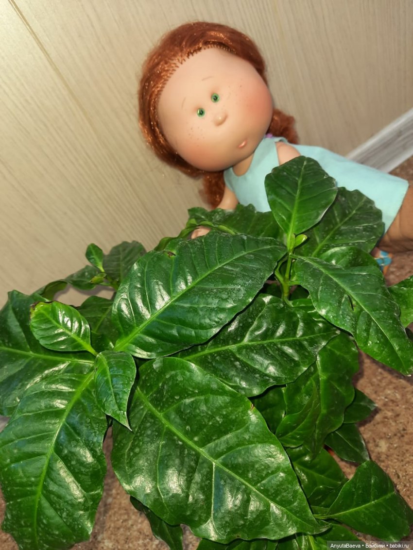 Мы ходили в магазин — Куклы Nines d'Onil (Нинес): Миа (Mia) (фото 10)