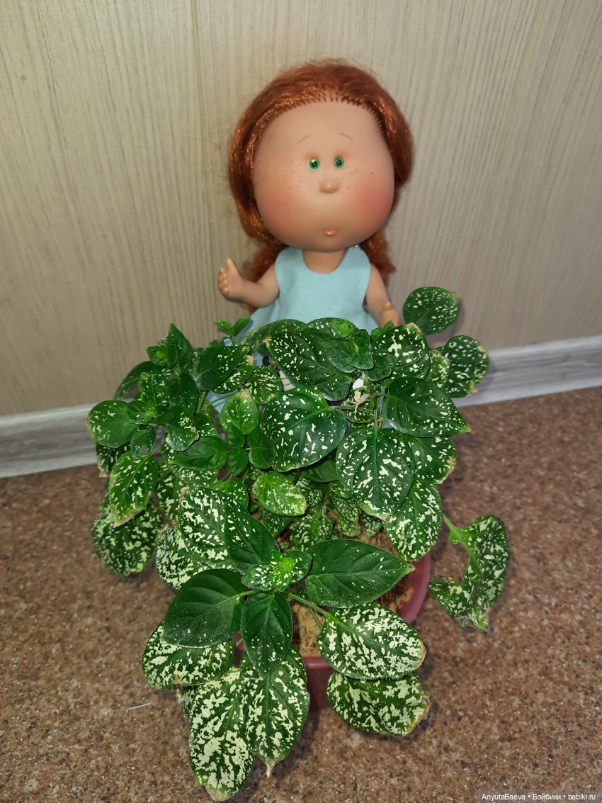 Мы ходили в магазин — Куклы Nines d'Onil (Нинес): Миа (Mia) (фото 6)