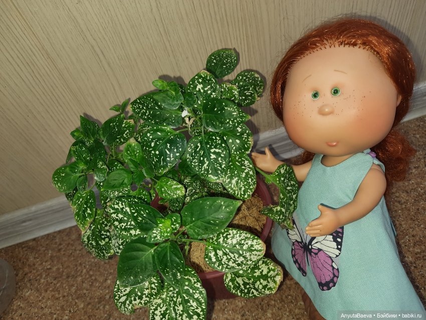 Мы ходили в магазин — Куклы Nines d'Onil (Нинес): Миа (Mia) (фото 5)