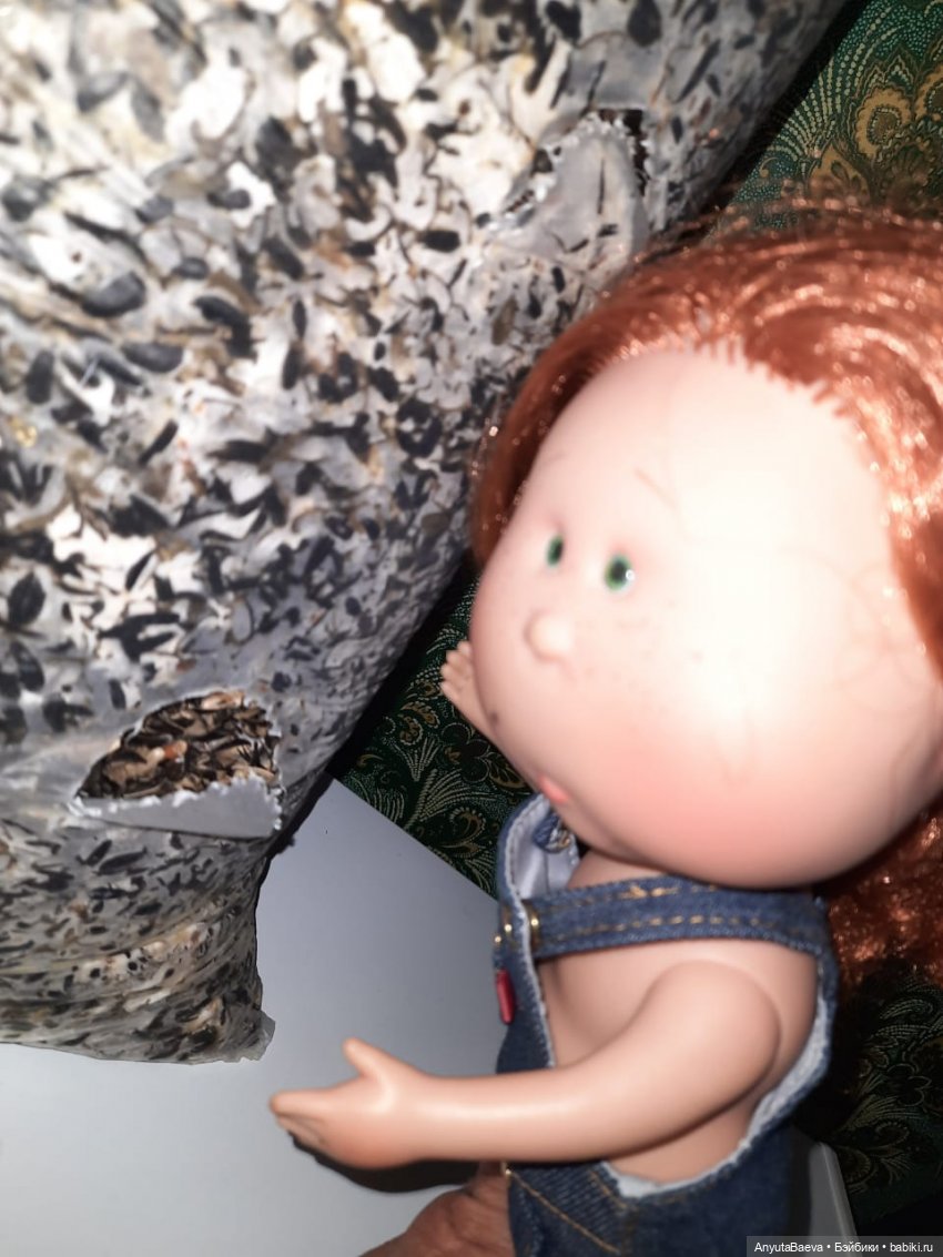 Грибные "питомцы" Маруси — Куклы Nines d'Onil (Нинес): Миа (Mia) (фото 9)