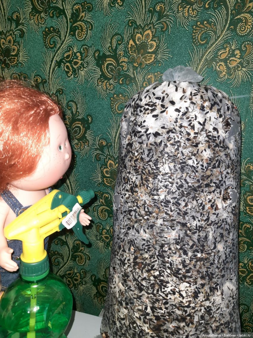 Грибные "питомцы" Маруси — Куклы Nines d'Onil (Нинес): Миа (Mia) (фото 6)