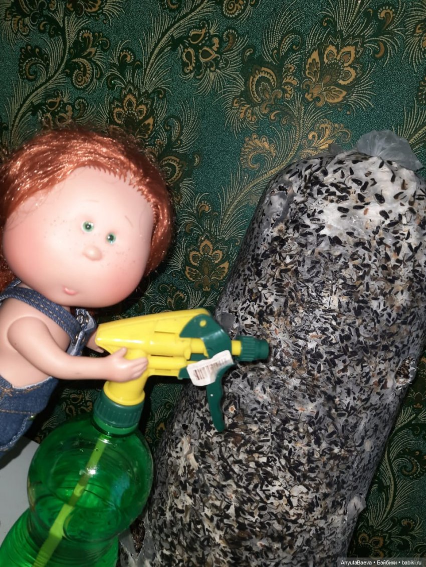 Грибные "питомцы" Маруси — Куклы Nines d'Onil (Нинес): Миа (Mia) (фото 5)