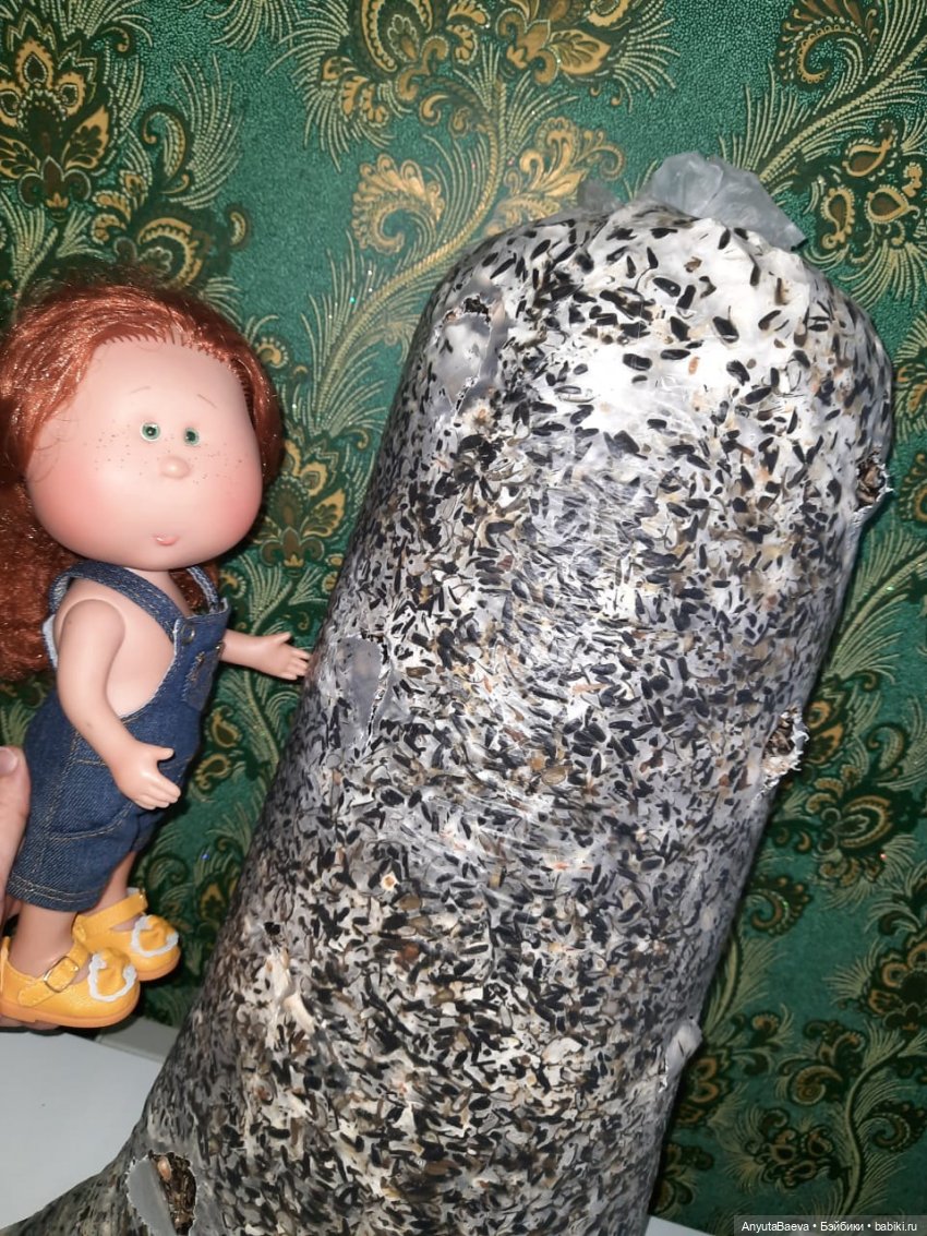 Грибные "питомцы" Маруси — Куклы Nines d'Onil (Нинес): Миа (Mia)