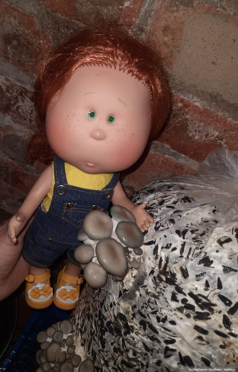 Грибные "питомцы",часть вторая)