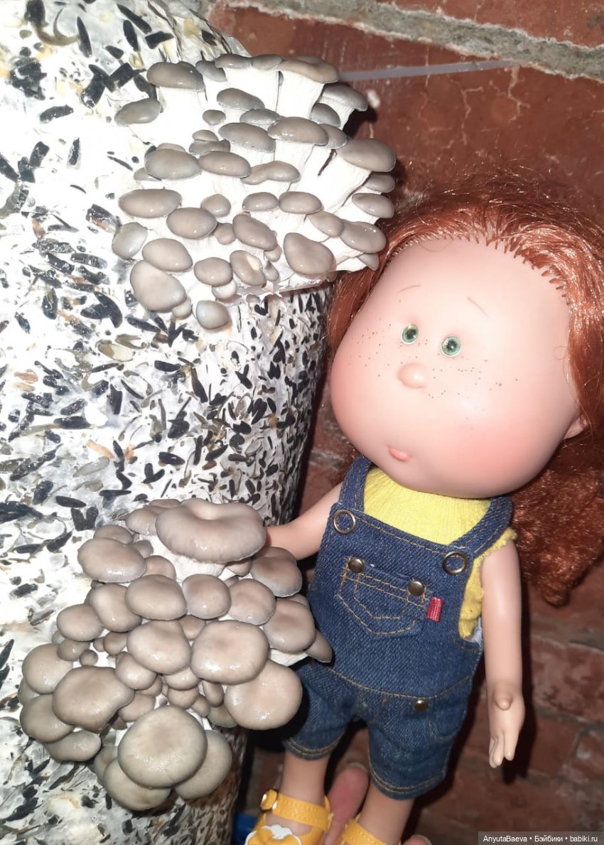 Грибные "питомцы",часть вторая)