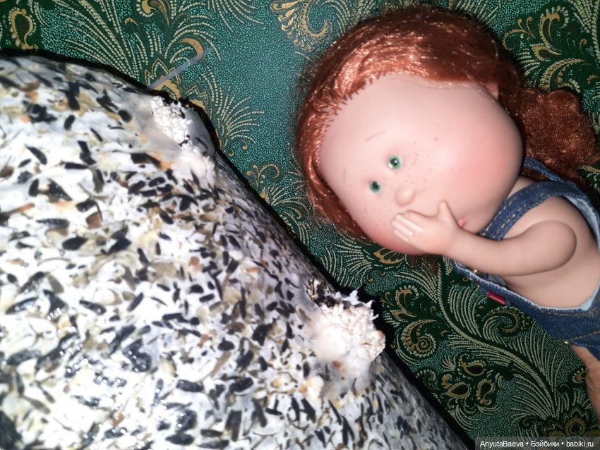 Грибные "питомцы",часть вторая) (фото 3)