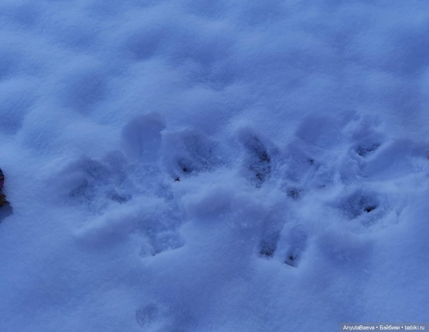 Новый год старый, а снег новый