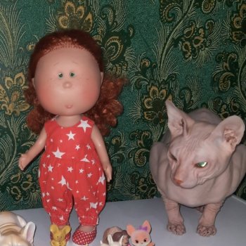 Конкурс -Мартовские котики.