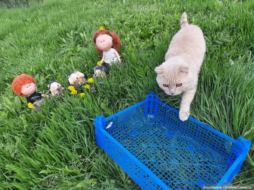 А у нас тройняшки — Куклы Nines d'Onil (Нинес): Миа (Mia)