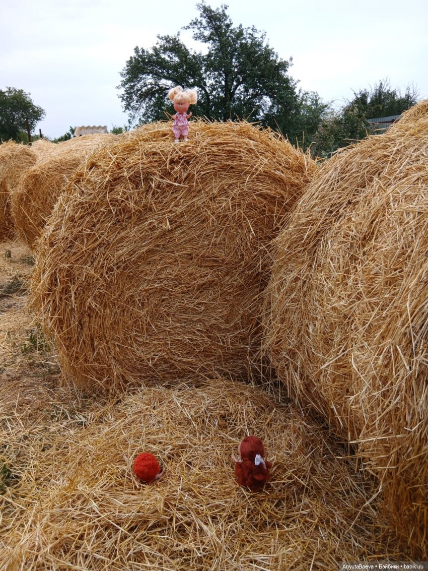 Флешмоб в группе — Куклы Nines d'Onil (Нинес): Миа (Mia) (фото 2)