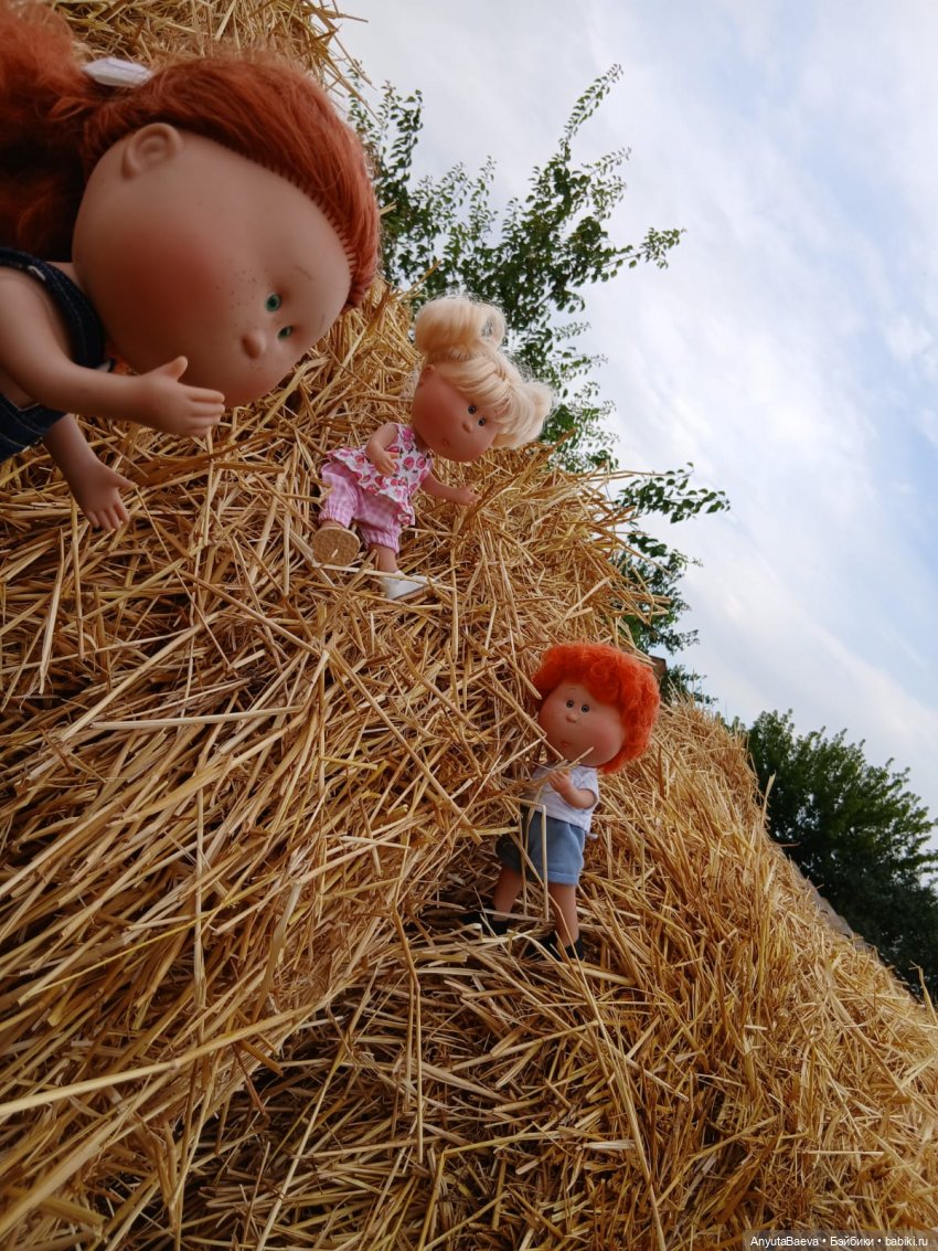 День валяния в стоге сена) (фото 2)