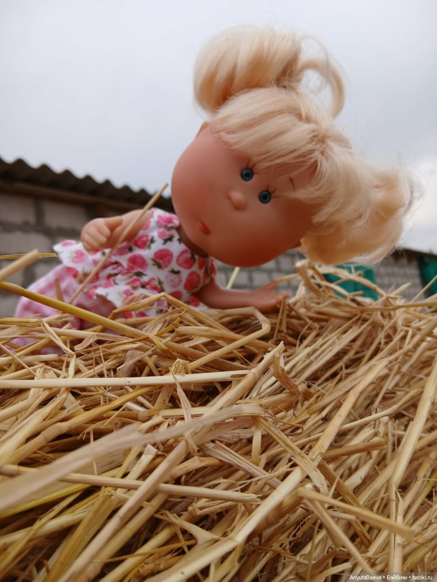 День валяния в стоге сена) (фото 4)