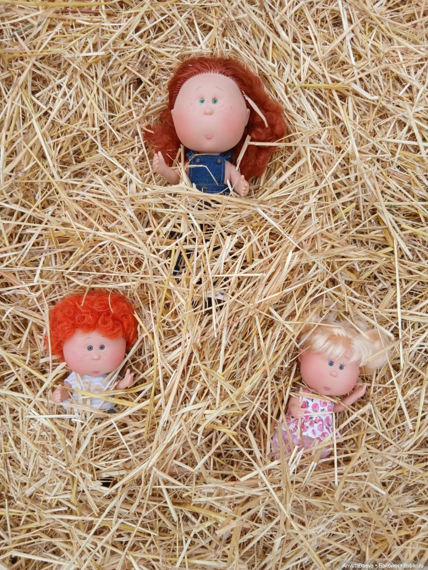 День валяния в стоге сена) (фото 6)