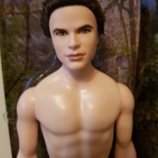 Эммет (Сумерки), доставка в цене