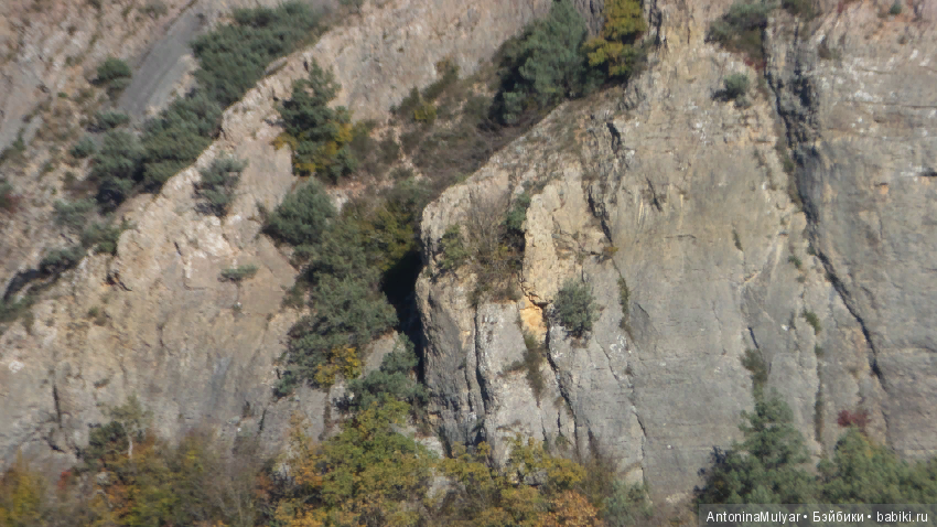 Как мы гуляли в волшебном лесу. Окончание