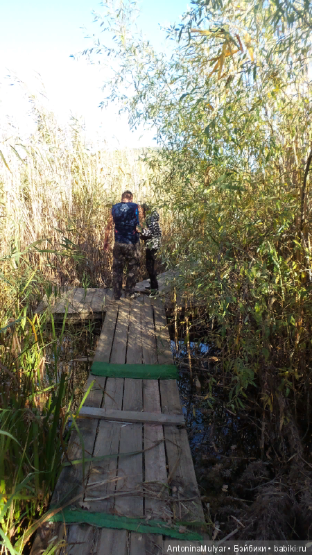 Как мы гуляли в волшебном лесу. Окончание (фото 9)