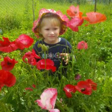 Летние воспоминания