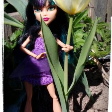 Весна-весна, цветы-цветы