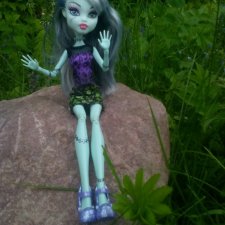 К нам Френки приехала