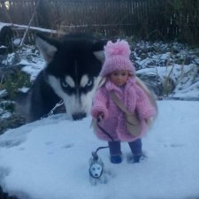 Фейт, Брин, Эвелин и их питомцы