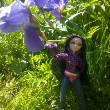 Тристен и ирисы