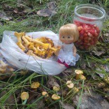 Машка в лесу.Новое платье