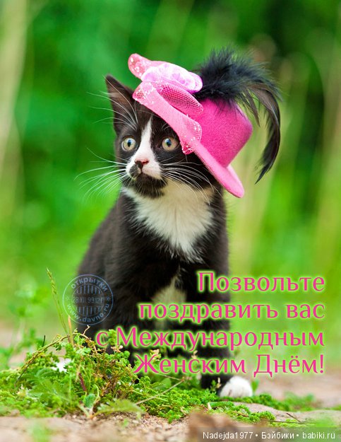 С праздником 8 марта вас девочки!!!)))) | Бэйбики С праздником 8 марта вас девочки!!!)))) (фото 2)