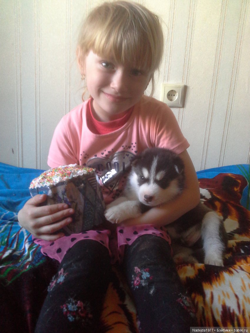 Христос Воскресе дорогие жители любимых Бейбиков