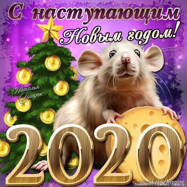 С наступающим Новым годом всех жителей любимых Бейбиков