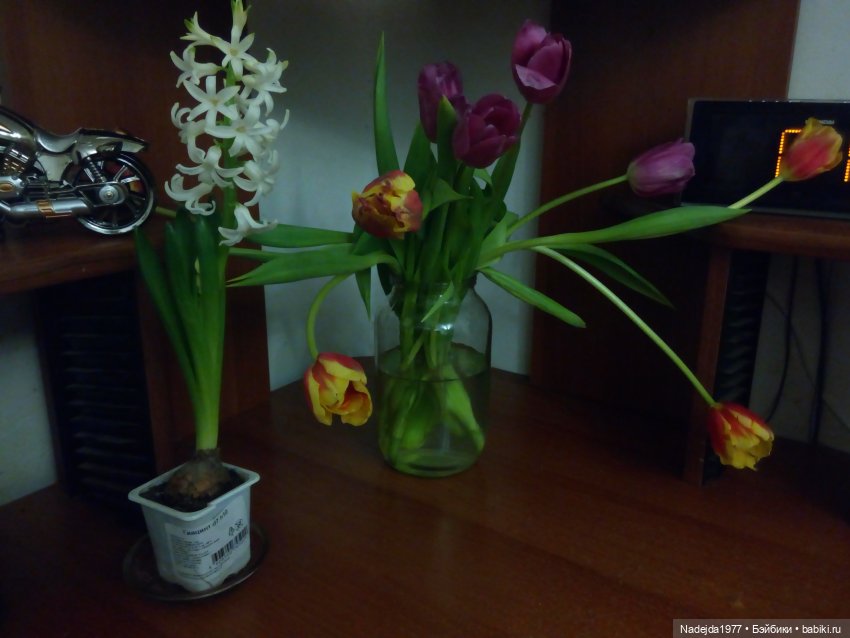 Поздравляем всех с 8 марта (фото 3)